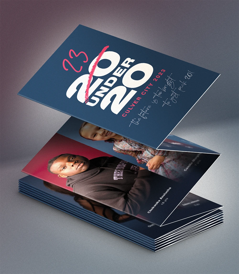 Portfolio item 10